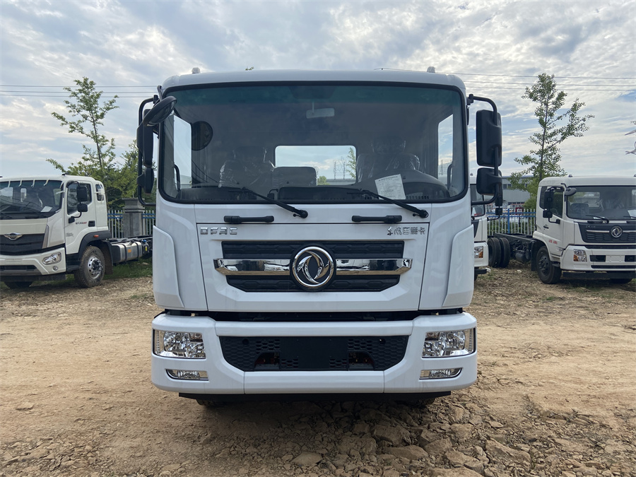 東風(fēng)D9（3950，康明斯230）國六 內(nèi)飾照片圖