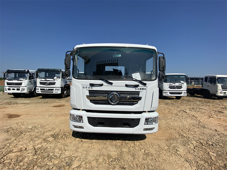 東風(fēng)D9（3950，玉柴165）國六 內(nèi)飾照片圖