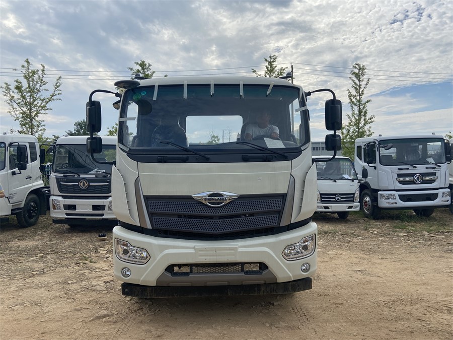 福田ES7（4500，濰柴220）國六 內(nèi)飾照片圖